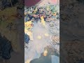 video ko like Karen