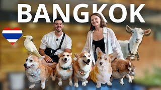 Hidden Gems in Bangkok🇹🇭: The Animal Cafés You’ve Never Heard Of