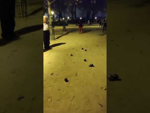 Entraînement du CPP du 31 août 2022