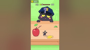 Hide and Seek: Cat Escape! 👀🐱 243 Level Gameplay Walkthrough | Best Android, iOS Games #shorts