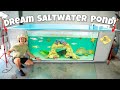 My DREAM SALTWATER POND Is Finally Complete! (Part 3)