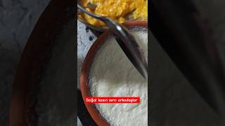 Natürel Olmamı Doğal Yoğurta Borçluyum