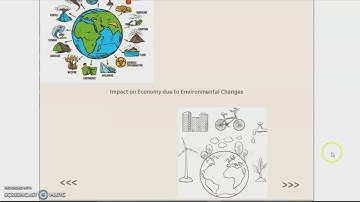 BDAT 1006 - Data Visualization - Final Assignment