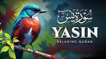 Surah Yasin (Yaseen) سورة يس | THIS WILL TOUCH YOUR HEART إن شاء الله | Zikr E Quran