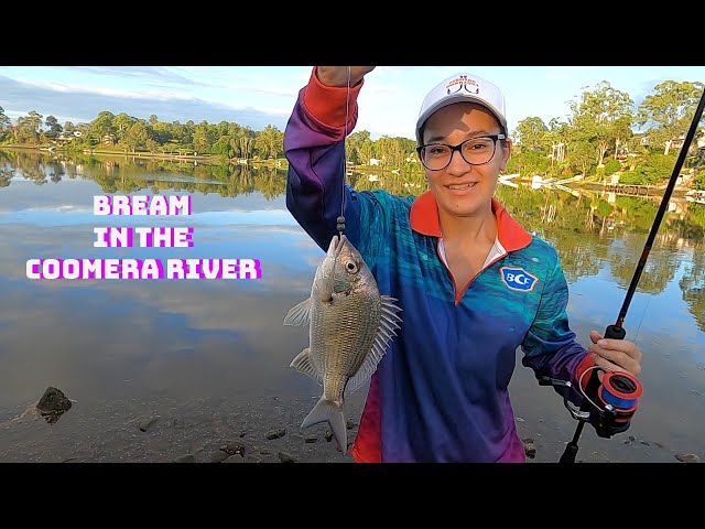 Fishing the Coomera River on the Gold Coast: A Complete Guide