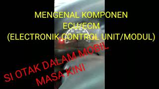 si otak mobil masa kini,mengenal komponen dalam ECU/ECM (elektronik kontrol unit/modul) screenshot 5