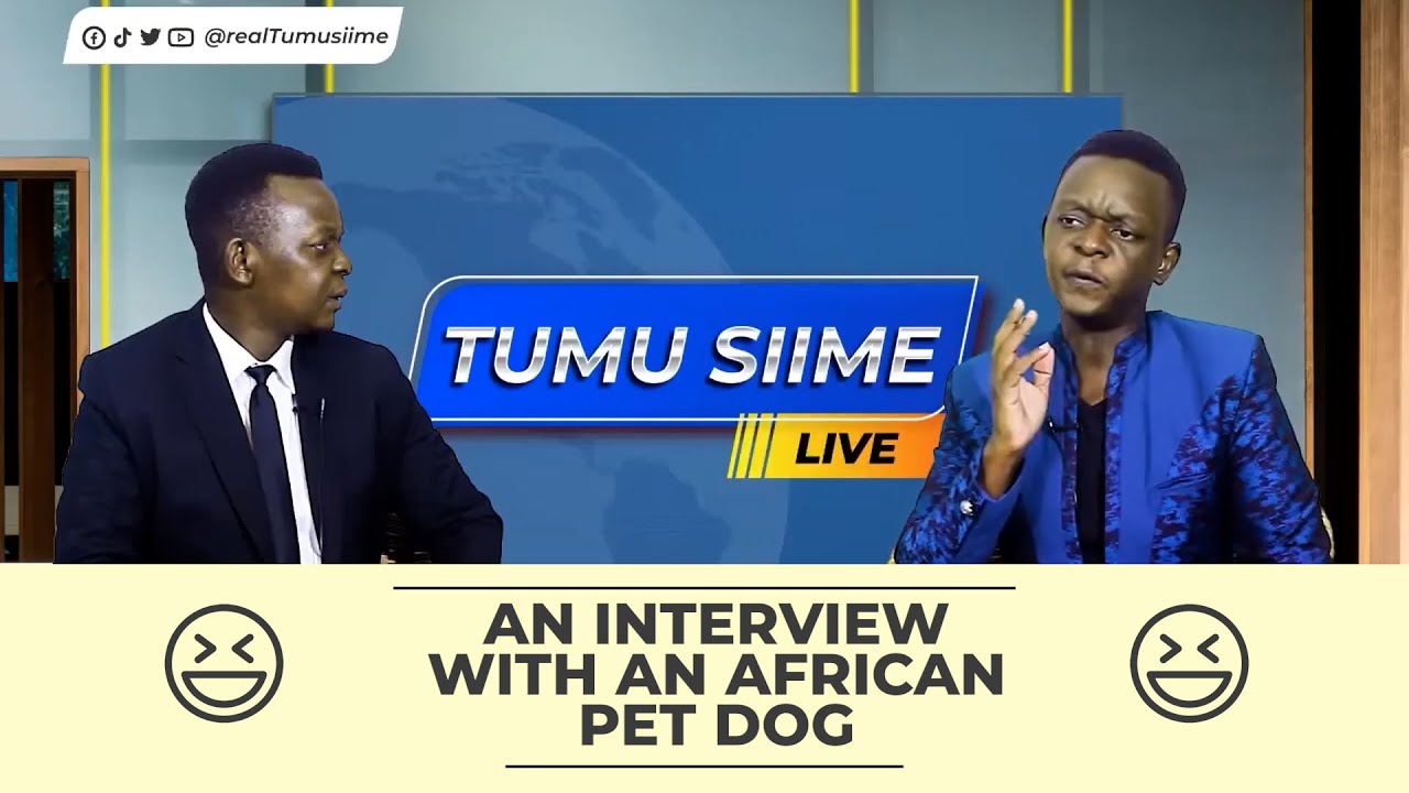 An interview with an African Pet Dog in which it complains about having poor owners