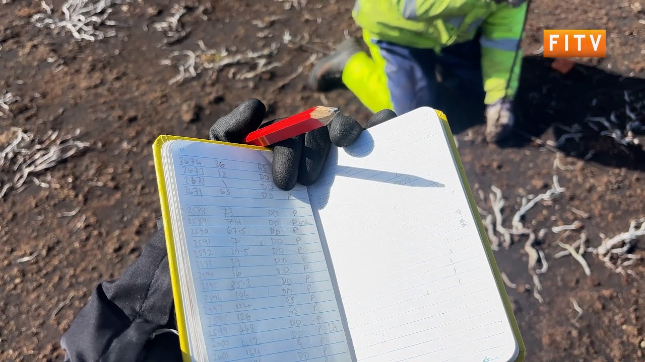 Tussac Project Launched to Protect Falkland Islands Peatlands