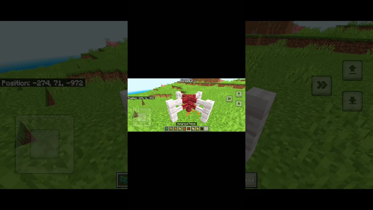 racist fences in Minecraft?? 