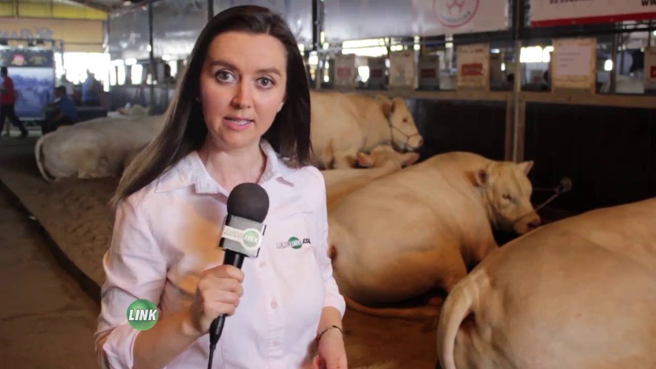 ABERTURA da 39ª EXPOINTER 2016 - YouTube