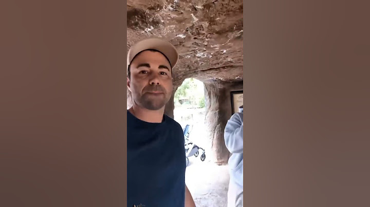 How To Lure A Gorilla With Your Phone #zoo #gorilla #gorillas #shorts