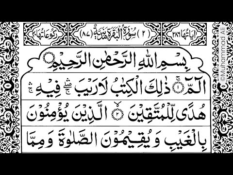 Salman Khan, Aamir Khan aur Bromance 🫂 | Two Much with Kajol and Twinkle | Prime Video India