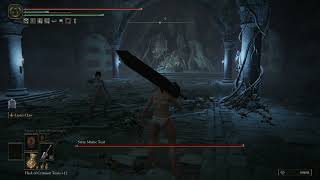 Newbie At Elden Ring Fights: Stray Mimic Tear