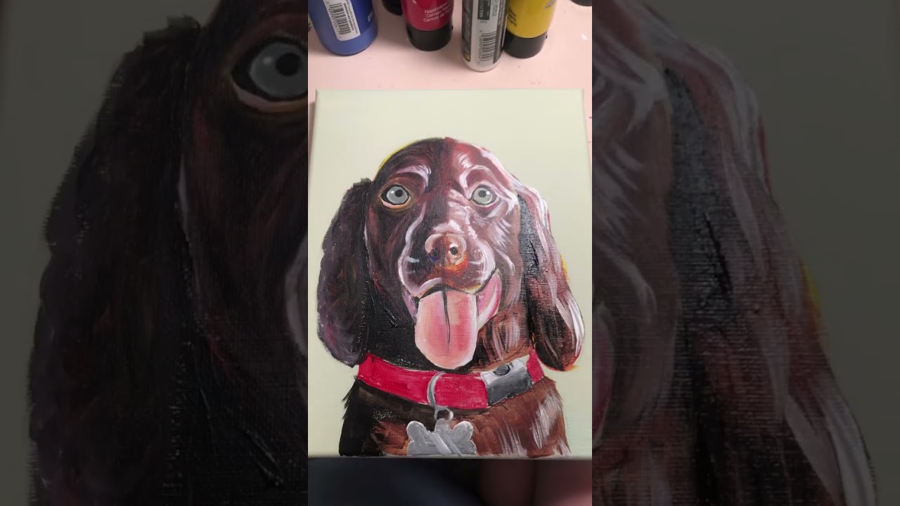 Boykin spaniel painting ✨