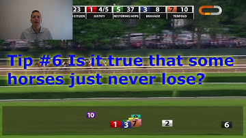 🏇Tip #6  Is it true that some horses just never lose?