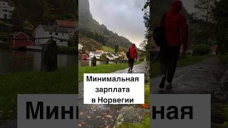 Минимальная зарплата в Норвегии #жизньвнорвегии #норвегия #скандинавия #норвежцы #работавнорвегии