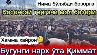 Тергачи мол бозори жуда қиммат болди мол олиш хато❌