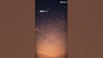 #sunset #sky #foryou #photography #aesthetic #naturelovers #sun #viralvideo #reels