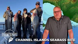 Southern California Bight FISHING REPORT 05/07/2026