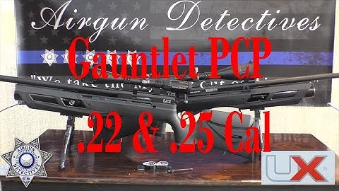 Umarex Gauntlet PCP Air Rifle .22 & .25 Caliber