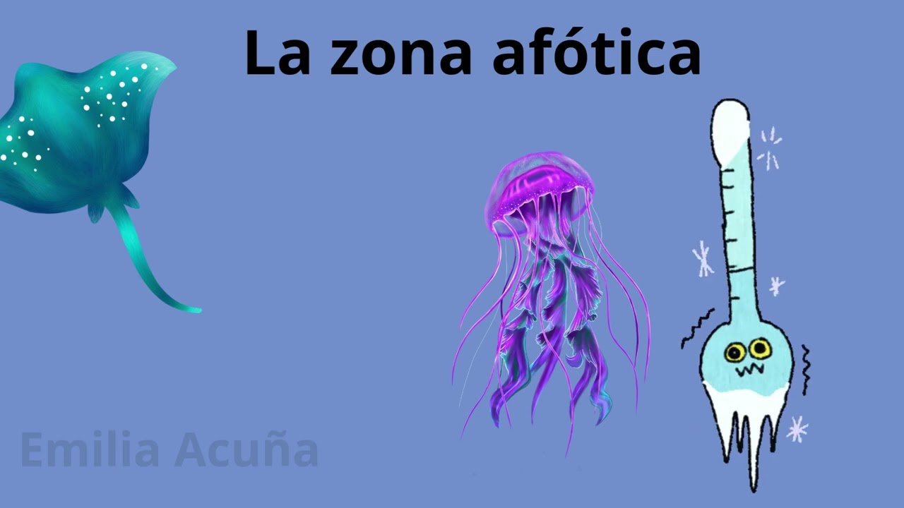 Ciencias para niños: Las zonas de los océanos Zona fótica y Zona afótica