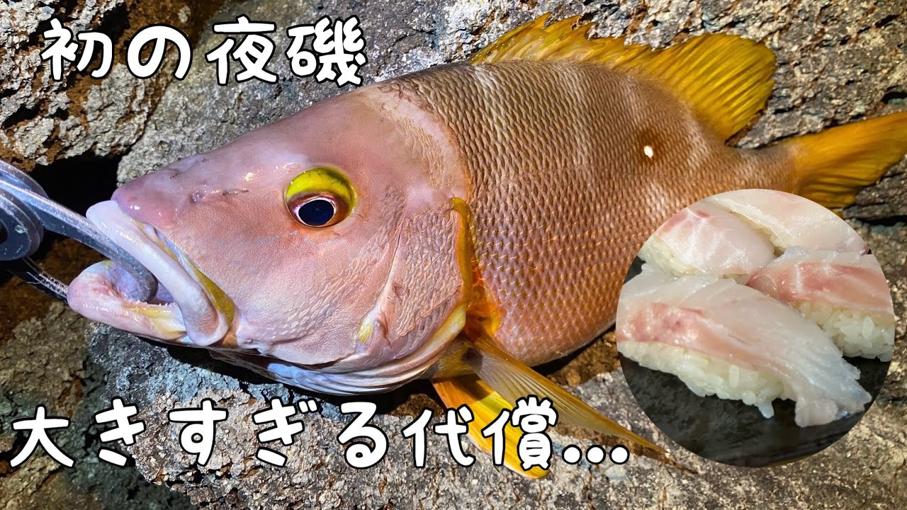 【初の沖磯釣り】シブダイに大人の綱引き挑んだ結果がやばすぎた...