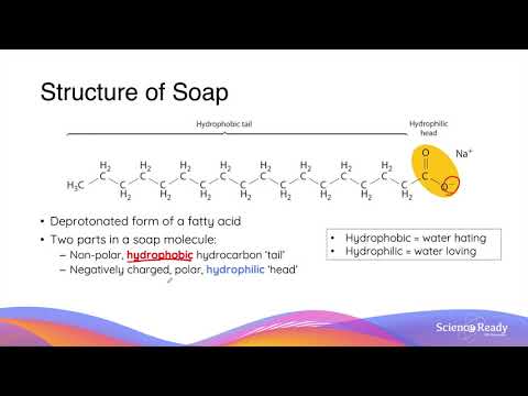 साबुनीकरण क्या है? साबुन और डिटर्जेंट की संरचना और क्रिया // एचएससी रसायन विज्ञान