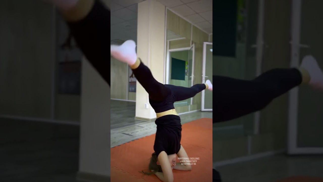 Professional excellence Labor productivity ASTCITYBALLET DS