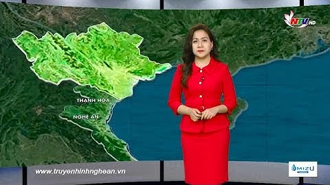 Bản tin Dự báo Thời tiết đêm 02/02, ngày 03/02/2022