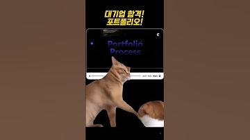 코딩하는 디자이너의 대기업합격 포트폴리오