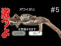 エビカニ軍団使ったら超絶強かった!! 甲殻類の力!! 海産物海戦シミュレーション - Ace Of SeaFood 実況プレイ #5