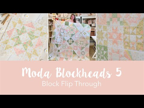 Moda Blockheads 5 - Block Flip through