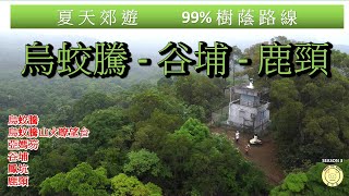 [99%樹蔭路線]  烏蛟騰 | 烏蛟騰郊遊徑 | 烏蛟騰山火瞭望台 | 谷埔 | 鹿頸 | 全程8.2km