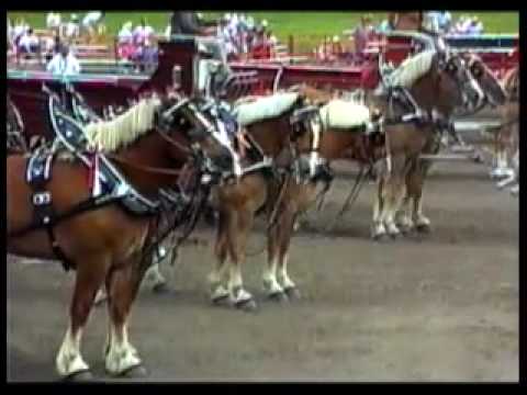 Britt Draft Horse Show, 1991, part 2