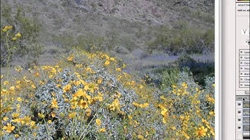 14 05 Blur Filters, Blending Modes, & Alpha Channels