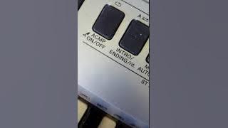 Do Lord/I'll Fly Away Medley from O Veggie Where Art Thou? & 25 Favorite Action Songs