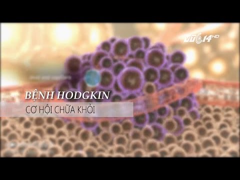 Video: Ung thư hạch (L lymphosarcoma)