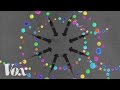 Flu Evolution and Spread Insights