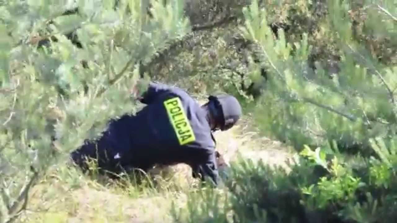 Ćwiczenia OPP - zatrzymanie uzbrojonego przestępcy