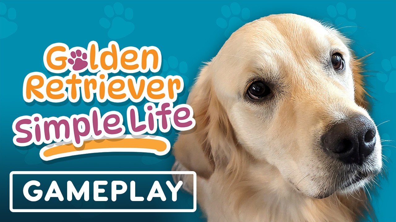 골든이와 함께하는 힐링 일상 Golden Retriever Simple Life - Official Gameplay Trailer | IGN Fall Fan Fest 2026