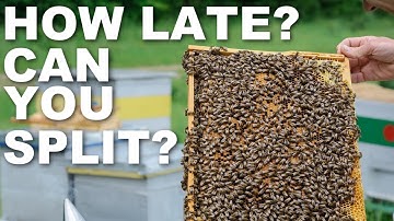 Beekeeping: How Late Can You Split & Get Frames Drawn?