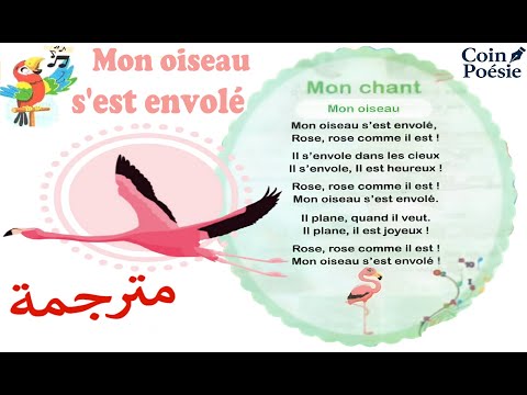 My Bird Flew Away My Song Unit 5 My Animal Friends Grade 3 
