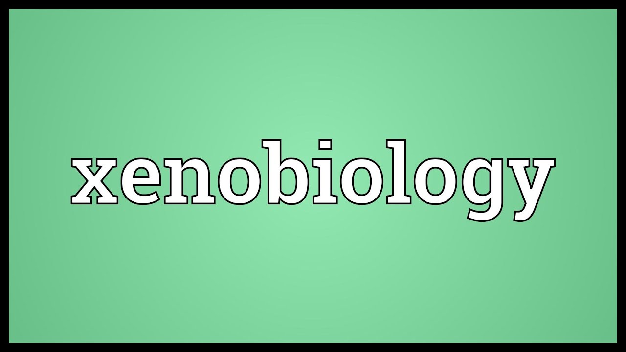 Xenobiology Meaning YouTube