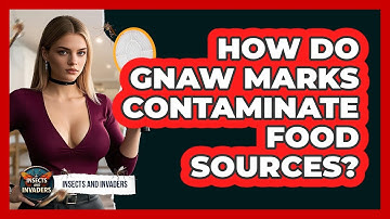 How Do Gnaw Marks Contaminate Food Sources? - Insects and Invaders