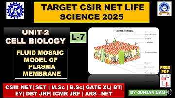 TARGET CSIR NET DEC 2025 |UNIT-:2 CELL BIOLOGY  |PLASMA MEMBRANE STRUCUTRE & FUNCTION #csirnet2025