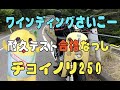 チョイノリ250で往復60kmのワインディング耐久テスト♪