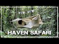 Haven Tents 🌲 Kickstarter