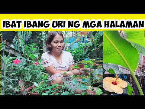 Video: Ang Nasabing Iba't Ibang Mga Halaman