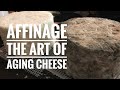 Affinage- Tips and Tricks for Successful Cheese Aging at Home