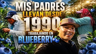 Mis Padres Oaxaqueños 🇲🇽 Llevan Desde 1990 Trabajando en Blueberry 🫐🇺🇸 ¡Una Historia de Sacrificio!